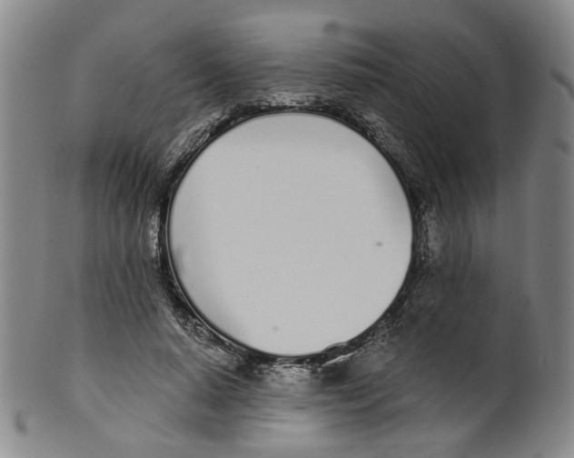 X0000100410640200806271444