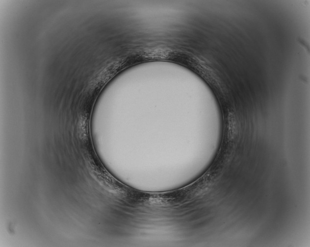 X0000100410641200806271444