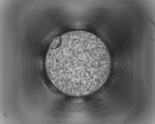 X0000100410643200806271444