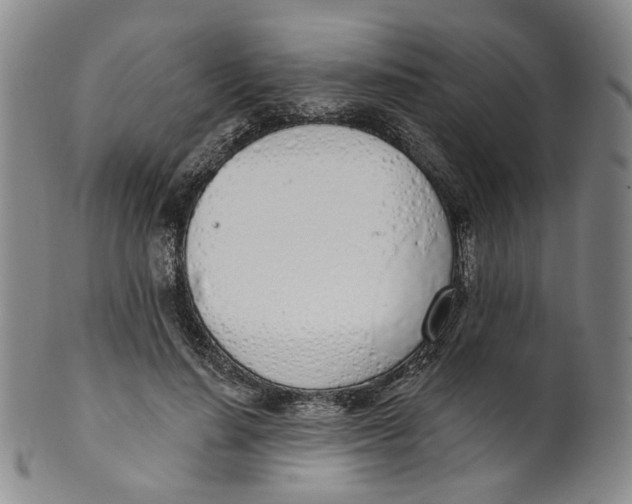 X0000100410644200806271444