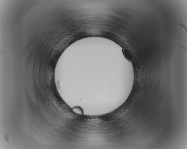 X0000100410645200806271444