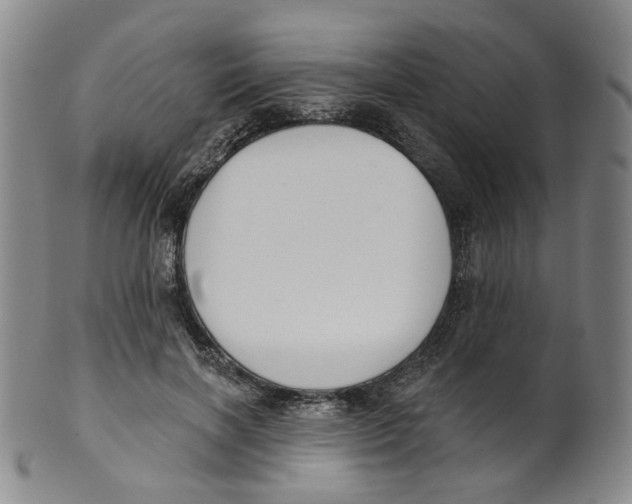 X0000100410646200806271444