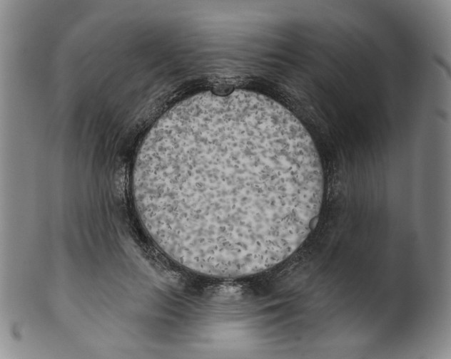 X0000100410647200806271444