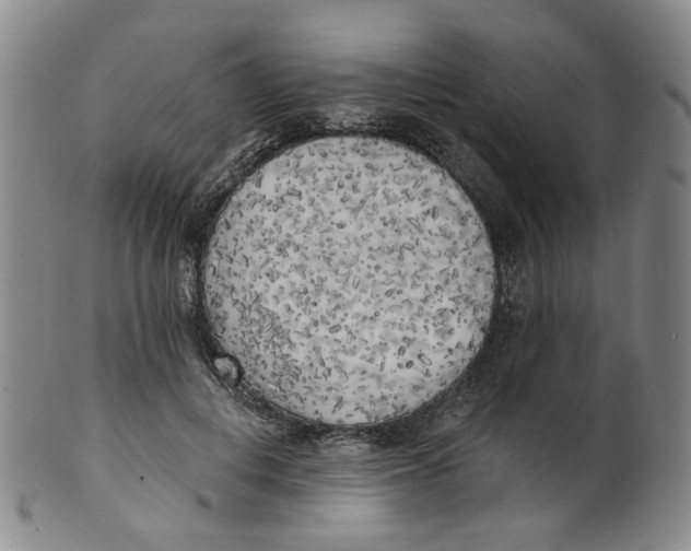 X0000100410648200806271444