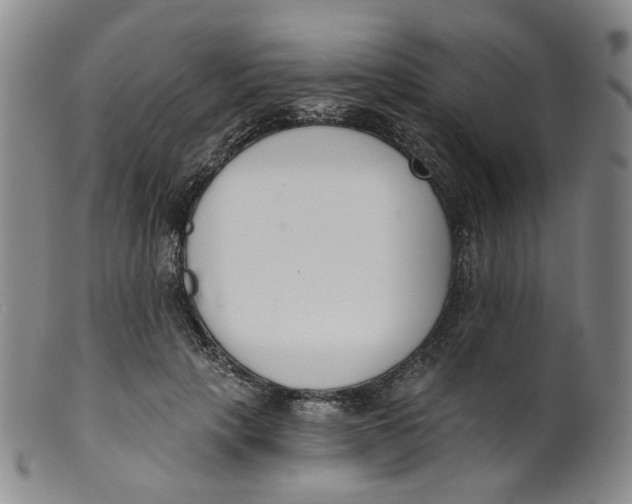 X0000100410649200806271444