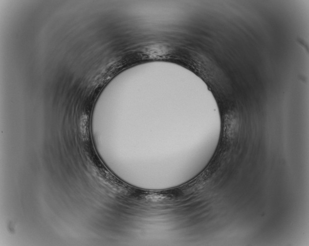 X0000100410650200806271444