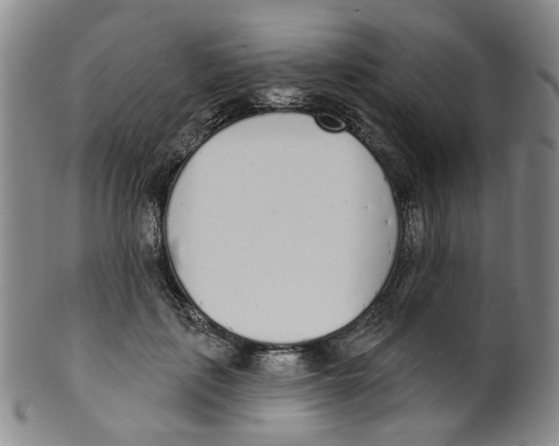 X0000100410651200806271444