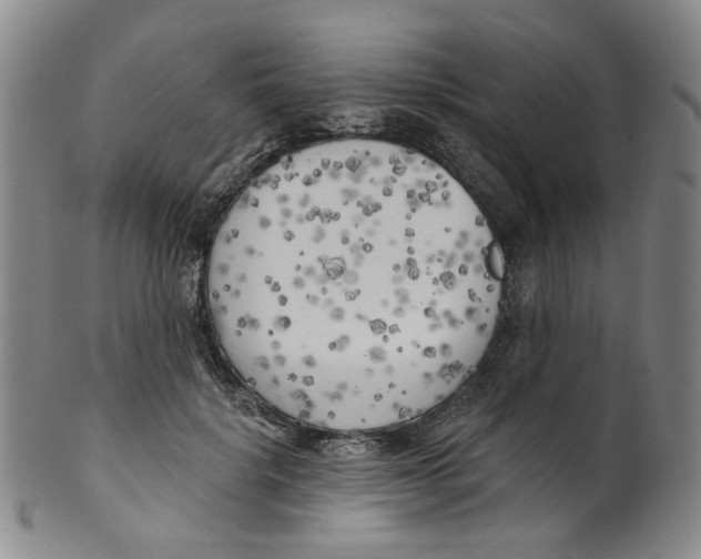 X0000100410652200806271444