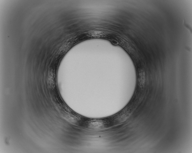 X0000100410653200806271444