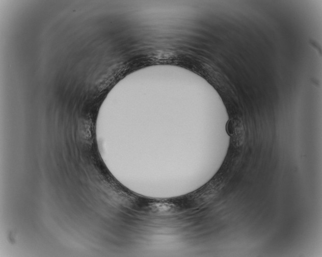 X0000100410654200806271444