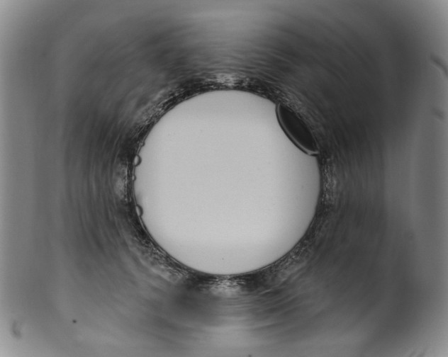 X0000100410656200806271444