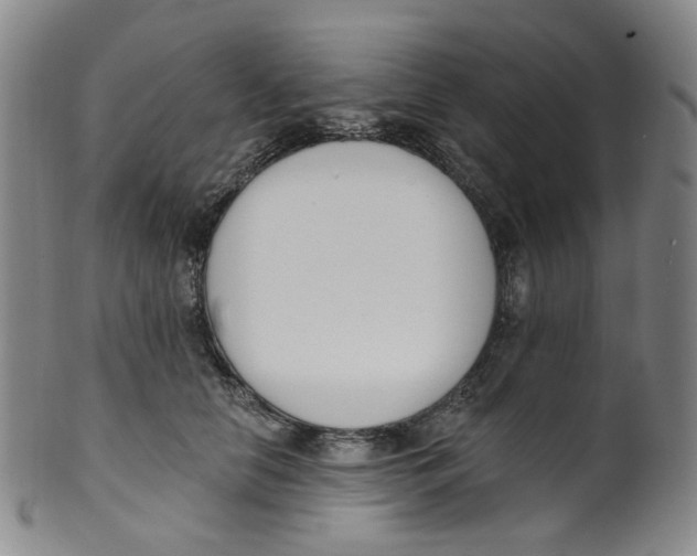 X0000100410658200806271445