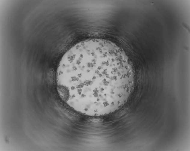 X0000100410659200806271445