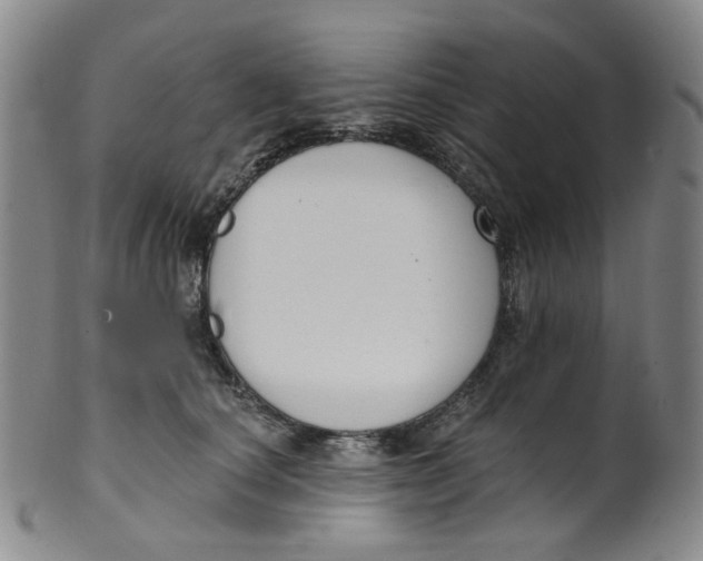 X0000100410660200806271445