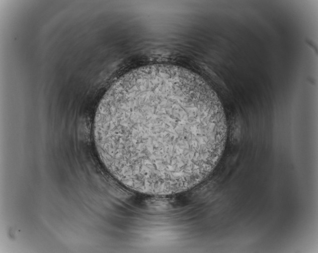 X0000100410661200806271445