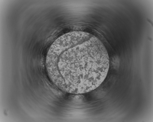 X0000100410663200806271445