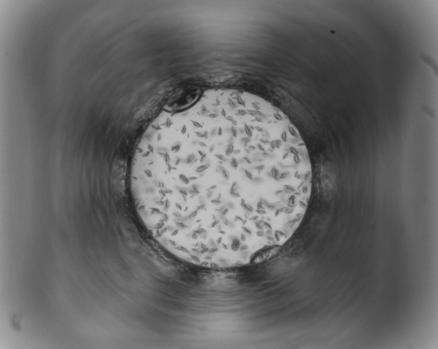 X0000100410664200806271445