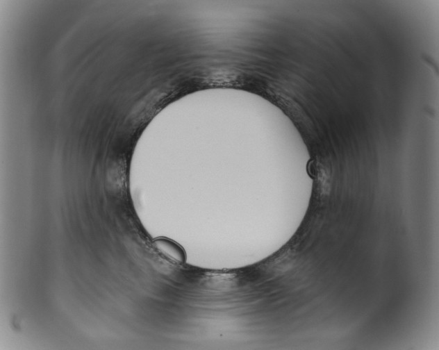 X0000100410665200806271445