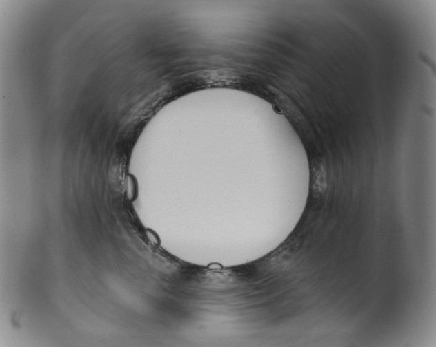 X0000100410666200806271445