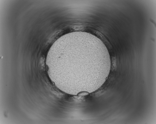 X0000100410667200806271445