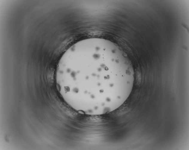 X0000100410668200806271445