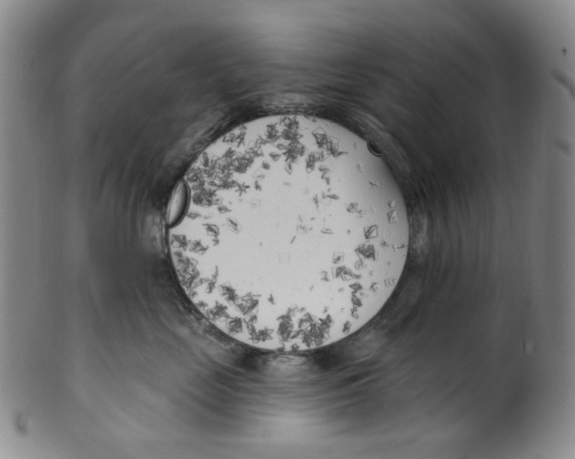 X0000100410669200806271445