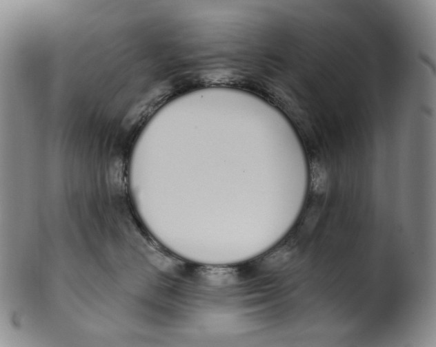 X0000100410670200806271445