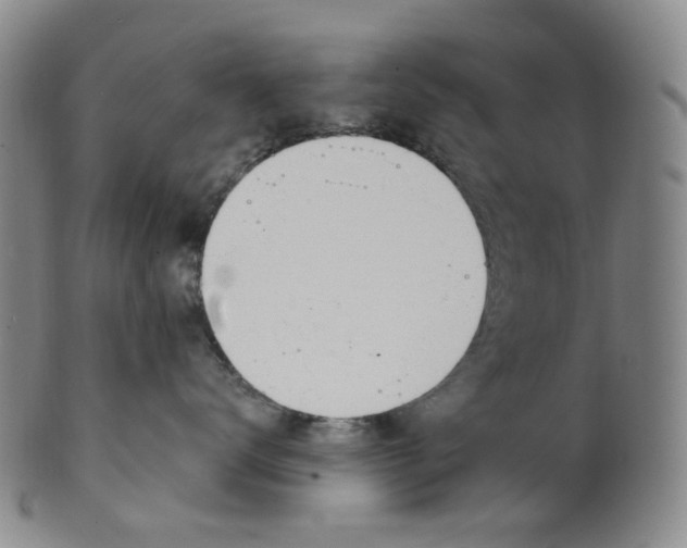 X0000100410672200806271445