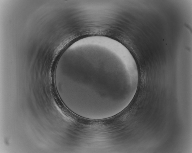 X0000100410674200806271444