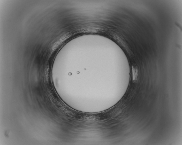 X0000100410675200806271444