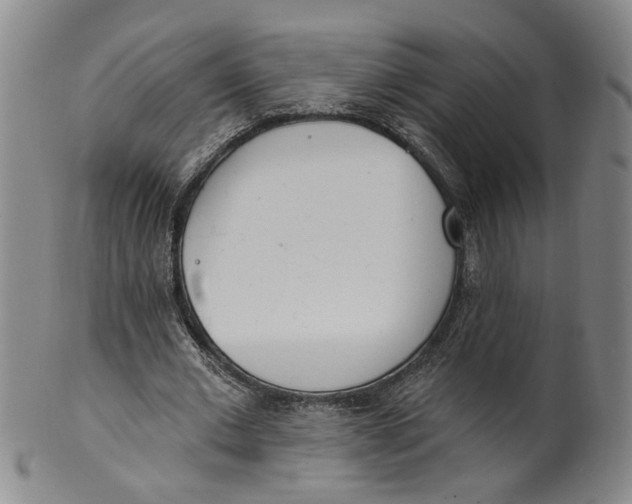 X0000100410677200806271444