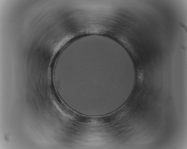 X0000100410678200806271444