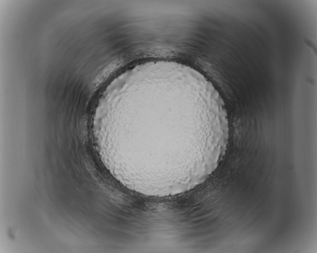 X0000100410679200806271444