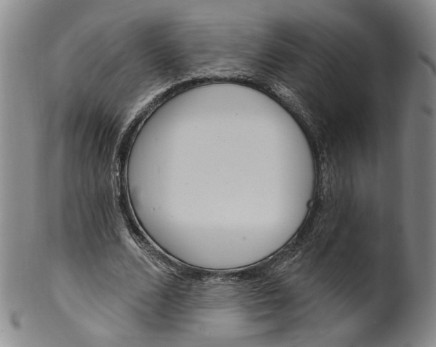 X0000100410680200806271444