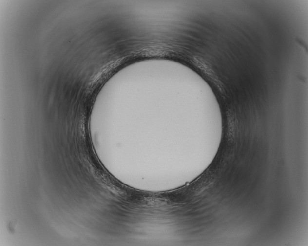 X0000100410681200806271444