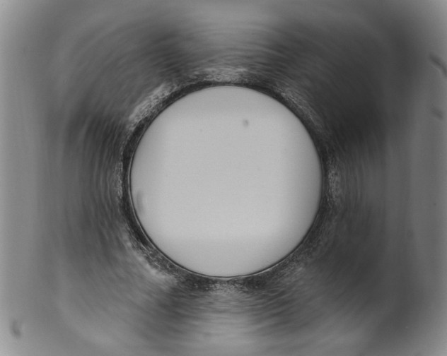 X0000100410682200806271444