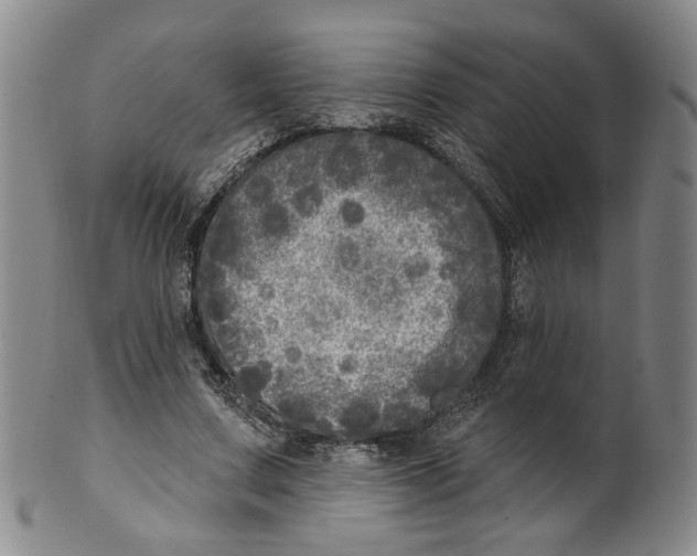 X0000100410683200806271444