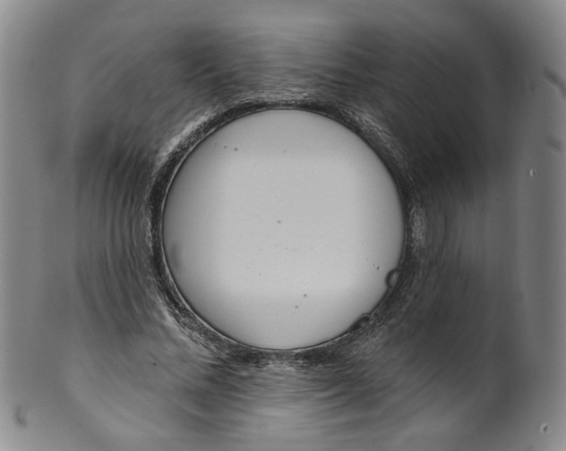 X0000100410684200806271444