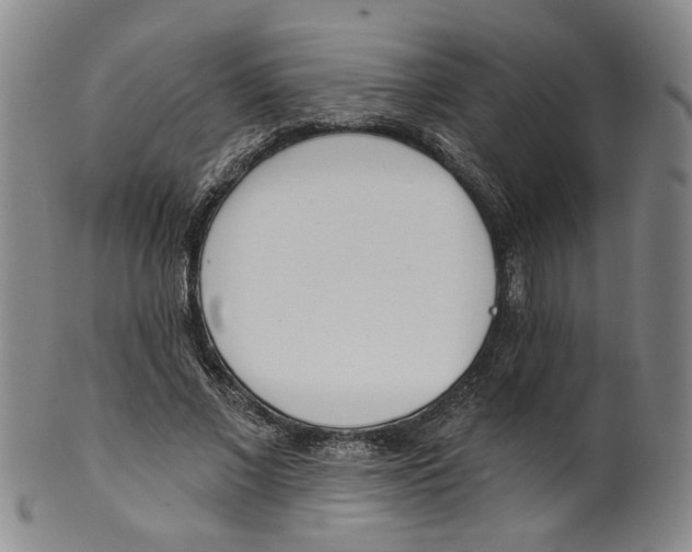 X0000100410685200806271444