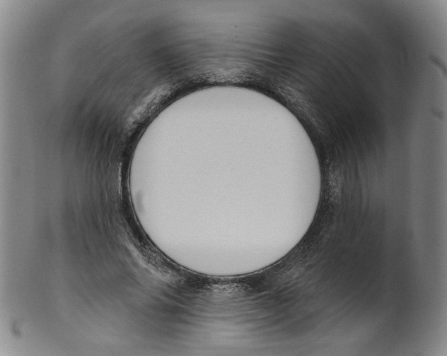 X0000100410686200806271444