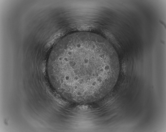 X0000100410687200806271444