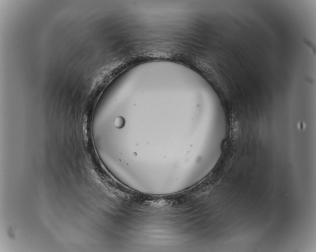 X0000100410688200806271444