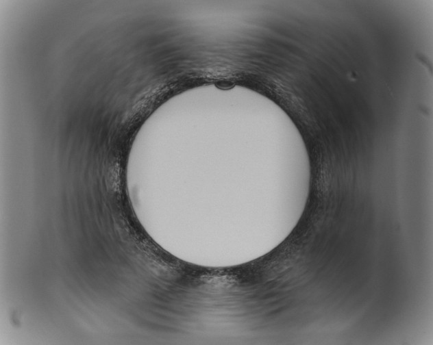 X0000100410689200806271444