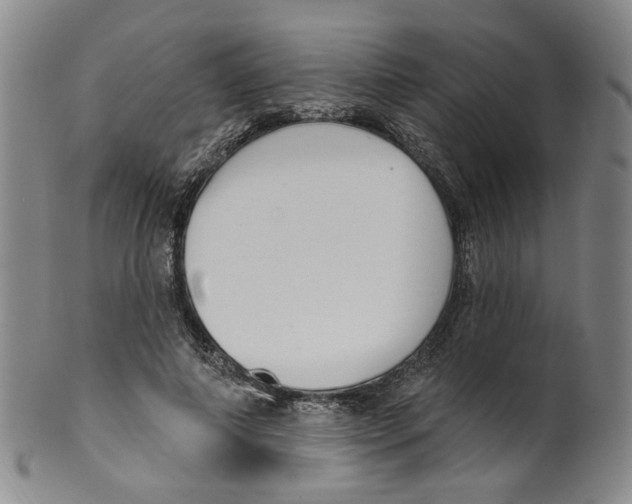 X0000100410690200806271444