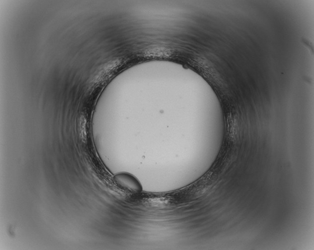 X0000100410692200806271444