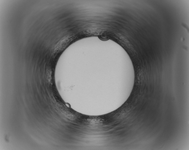 X0000100410693200806271444