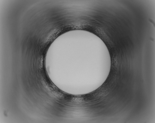 X0000100410694200806271444