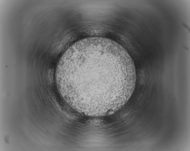 X0000100410695200806271444