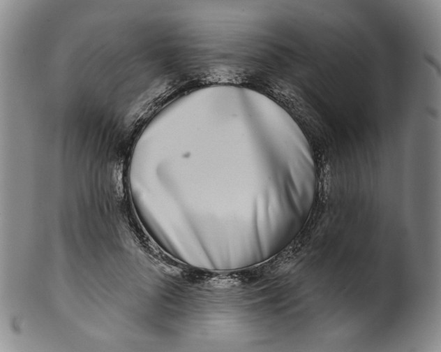 X0000100410696200806271444