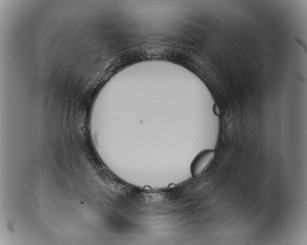 X0000100410698200806271444